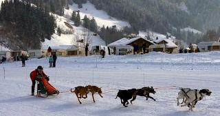 Manipuliert. Unbekannte T&auml;ter legten Glasscherben auf die Rennstrecke. (Archiv)