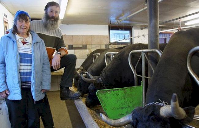 Züchter aus Leidenschaft: Rita und Beat Brantschen halten in ihrer Stallung gegen 50 Eringerkühe aus eigener Zucht.