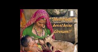 «Ein Bild zum heutigen Thema für Kaktus»