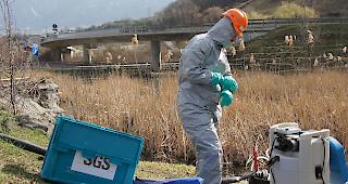 Mitarbeiter der Firma Bauer Umwelt in Schutzanz&uuml;gen bei der Installation der Ansaugvorrichtung des vergifteten Wassers.