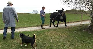 &laquo;Taifun&raquo; erkundet den Betrieb von Toni Brunner.