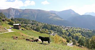 Die Urversammlung in Bellwald hat dem neuen Reglement f&uuml;r die &ouml;ffentliche &shy;Sicherheit zugestimmt.