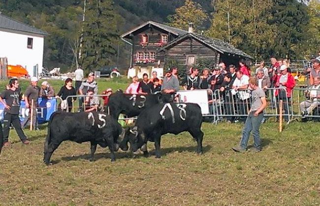 Impressionen vom 9. Rinderlistächfäscht in Mörel-Filet.