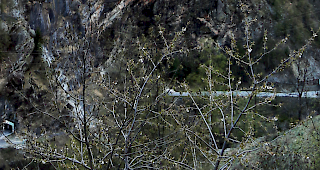 Der ungedeckte Strassenabschnitt zwischen dem Deibfelstunnel (links im Bild) und der nachfolgenden Galerie auf der Saastalstrasse zwischen Stalden und Eisten soll sicherer werden.