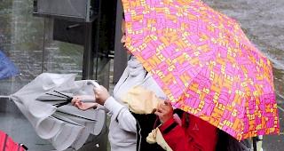 Viel Regen gestern &uuml;ber die ganze Schweiz verteilt.