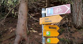 Insgesamt am meisten t&ouml;dliche Unf&auml;lle gab es laut BFU im Bergsport mit 83 Toten pro Jahr, davon 46 beim Wandern und 29 beim Bergsteigen. 