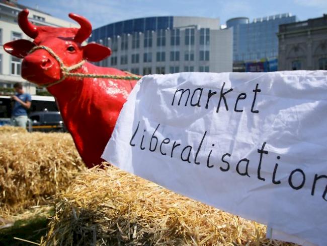 Protestaktion in Brüssel: EU soll "aus Schweizer Fehlern lernen"