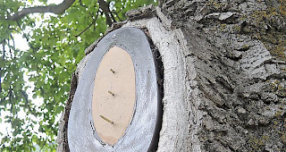 Von Bregys Kunstwerk haben Unbekannte trotz Stahlschrauben ein Horn abgerissen.