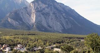 Auch im Pfynwald wird im Herbst eine neue Entdeckungswanderung angeboten. 