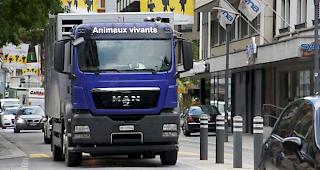 941'000 alpenquerende Lastwagenfahrten pro Jahr. (Archivbild)