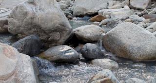 Wasserspender: Der noch junge Rotten im Goms. 