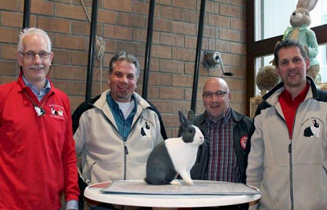 Martin Hollenstein, Präsident des Schweizerischen Holländerklubs, OK-Vorstandsmitglied Fabian Bregy, Markus Vogel, Experten-Obmann und Steiner Christian, OK-Vorstandsmitglied mit dem Rassesieger der diesjährigen Schweizerischen Holländerkaninchen Klubschau in Agarn.  