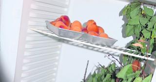 T&uuml;ren &ouml;ffnen. Von einem K&uuml;hlschrank zum andern - ein spannender Rundgang.  