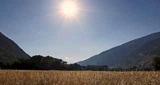 Im Wallis werden ab Dienstag erneut H&ouml;chsttemperaturen erwartet. 