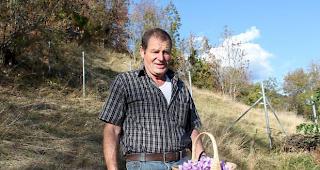 Daniel Jeitziner ist seit elf Jahren Safran-Zunftmeister.