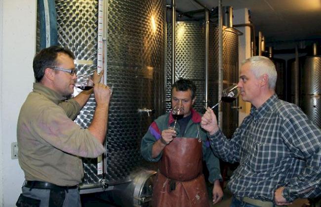 Eine erste Degustation des Grand Cru Salgesch 2013 durch die Kellermeister Fadri Kuonen (von links), Martin Mathier und Kellerei-Geschäftsleiter Amédée Mathier.