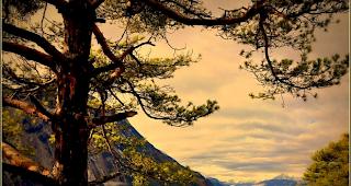 Blick ins herbstliche Unterwallis. 