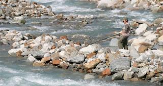 Trotz r&uuml;ckg&auml;niger Zahlen wurden erhebliche Fischereiertr&auml;ge erzielt. 