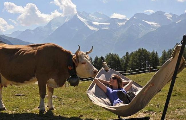 Während der ganzen Sommersaison bietet die Touristische Unternehmung Grächen einen fixen Euro-Wechselkurs an. 