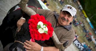 &laquo;Cobra&raquo; aus der Stallung von Viktor Gsponer holte im Jahr 2013 den begehrten Titel in Aproz.