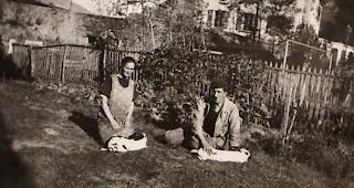 Kaninchen-Pr&auml;sentation im Garten.