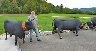 Christian Schneiter mit seinen Eringerk&uuml;hen vor seinem Atelier in Vicques/Jura.