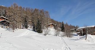 Der Standort: Im April wird hier wohl mit dem Bau des Ferienparks begonnen.