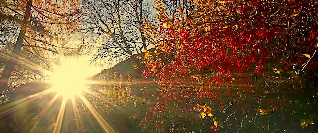 Herbstliches Farbenspiel