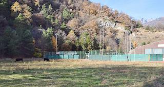 Die Anlage soll beim Tenniscenter entstehen.