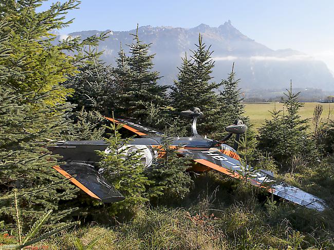 Das Flugzeug landete in den Tannen vor dem Flugplatz Bex VD.