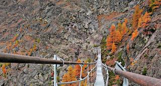 Recycling. Die neue Br&uuml;cke kostet rund doppelt so viel wie die alte, wobei der Kostenaufwand durch die Verwendung von Materialien der alten Br&uuml;cke reduziert werden kann. 