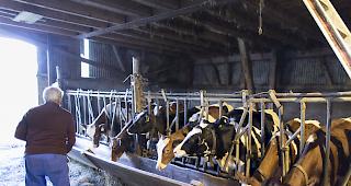 Mindestens zehn Prozent der Tierschutzkontrollen sollten unangemeldet erfolgen. (Symbolbild)