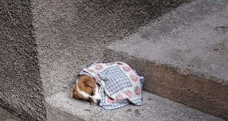 Fotobeitrag von Blogger Dübi zum heutigen Thema.