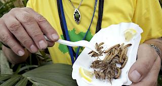 Kleiner Snack gef&auml;llig? Nicht bei jedem &uuml;berwiegt der "Iiihhh!"-Faktor. 