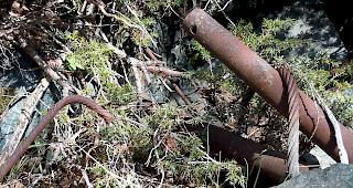 Die Abf&auml;lle sollen im Fr&uuml;hjahr entsorgt werden.