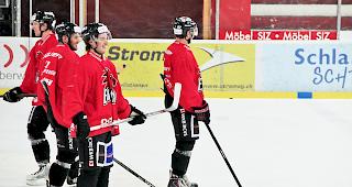 Gute Stimmung. Die Spieler des EHC Visp freuen sich auf die Playoffs. &laquo;Das ist die sch&ouml;nste Zeit des Jahres&raquo;, sind sich Andy Furrer und Fernando Heynen einig.