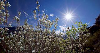 Am Wochenende herrschten dank Hoch Norbert auch im Wallis hochsommerliche Temperaturen (Archivbild). 