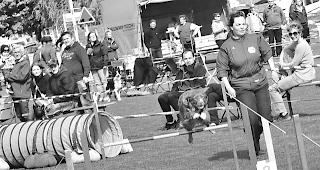 Leistung. Nicht nur vom Hund, sondern auch von dessen Chefin wurde auf dem Parcours einiges abverlangt. 