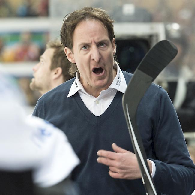 Michel Zeiter wird neuer Trainer beim EHC Winterthur in der Nationalliga B