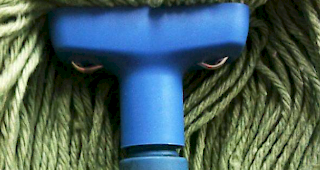 Mürrischer Wischmop