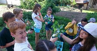 Die Primarsch&uuml;ler freuen sich auf die Arbeit im Schulgarten.