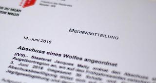 Die Kommission f&uuml;r Gesundheit, Sozialwesen und Integration st&ouml;rt es, wenn Journalisten Medienmitteilungen vor den Kommissionsmitgliedern erhalten.