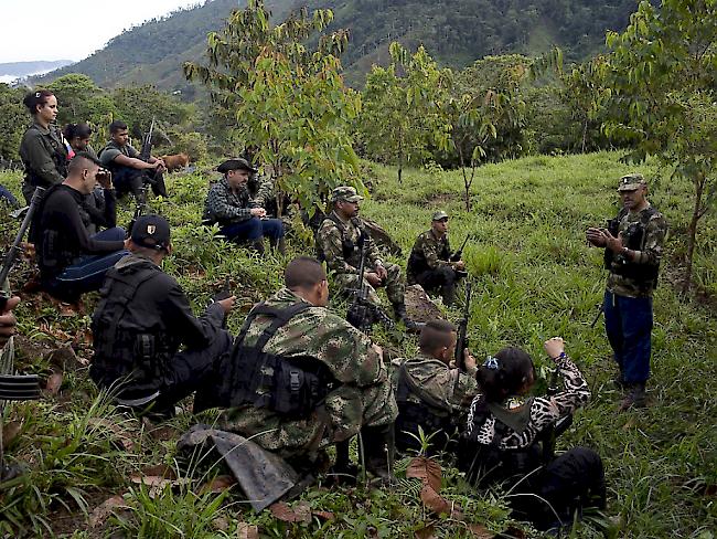 Eine Gruppe von FARC-Kämpfern berät sich: Die rund 8000 Mitglieder sollen im Rahmen des Waffenstillstands mit der Regierung ihre Waffen abgeben. (Archivbild)