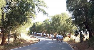 Derzeit l&auml;uft der 7. Spendenmarathon.