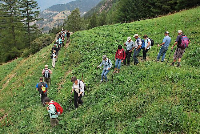 Wanderung. Die Gruppe unterwegs zwischen den Quellfassungen.