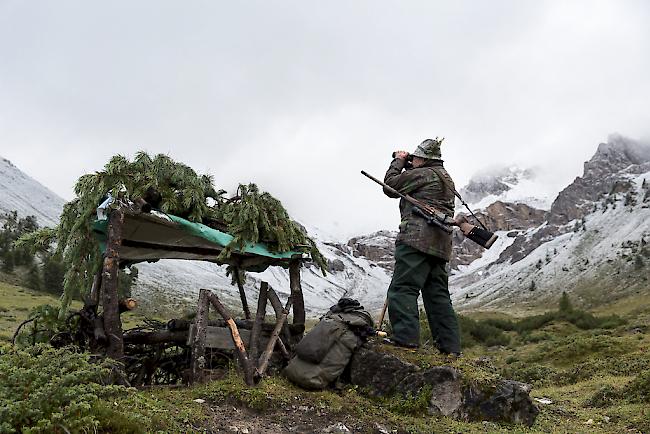 Gämsjäger. Ab kommendem Montag nehmen die Jäger im Wallis Gämsen, Hirsche und Rehe ins Visier. 