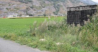 Gemeindeterritorium Steg-Hohtenn: Immer wieder wird an dieser Stelle Tierkot illegal entsorgt.