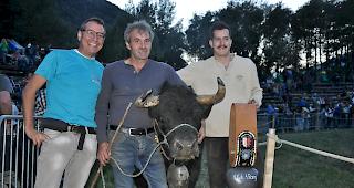 &laquo;Valerie&raquo; von Christoph Wyssen aus Susten holte sich den Sieg in der Kategorie 1 und wurde anschliessend Reine des Reines. 