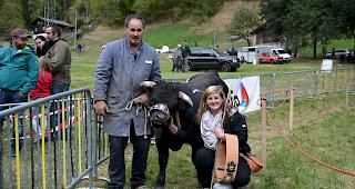 Siegerin in der Gruppe A: &laquo;Scorpion&raquo; von Norina Ruffiner aus der Stallung Ruffiner-Bregy in Turtmann.