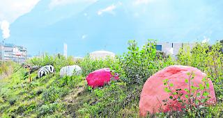 Am Visper Rhoneufer. Die grossen Steine wurden teilweise mit Tiermustern bemalt. 